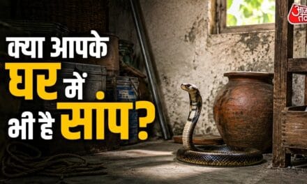 इन 4 गलतियों से घर में आ सकता है सांप, तुरंत करें ये उपाय