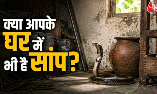 इन 4 गलतियों से घर में आ सकता है सांप, तुरंत करें ये उपाय