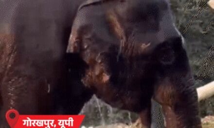 यूपी का बांदा सबसे गर्म, 46.4°C तापमान:MP-राजस्थान के 22 शहरों में पारा 43°C पार; बिहार में स्कूल प्रेयर के दौरान 27 छात्राएं बेहोश