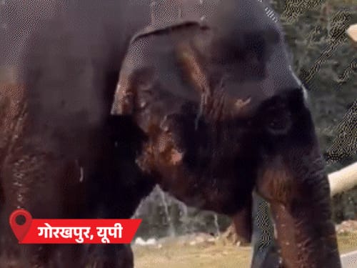 यूपी का बांदा सबसे गर्म, 46.4°C तापमान:MP-राजस्थान के 22 शहरों में पारा 43°C पार; बिहार में स्कूल प्रेयर के दौरान 27 छात्राएं बेहोश