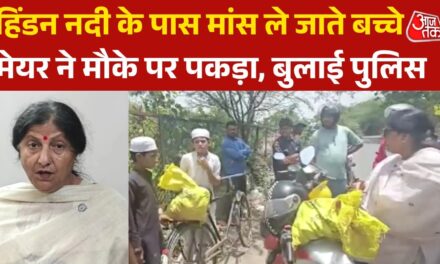 'सच बताओ किसने भेजा तुम्हें…', नदी में मांस फेंकने की कोशिश, गुस्साईं मेयर