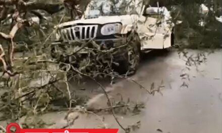 MP-UP, राजस्थान-हरियाणा में नौतपा के बीच बारिश और ओलावृष्टि:ओडिशा में 3 लोगों की मौत, 250 घर क्षतिग्रस्त; बांदा का तापमान 47.8°C