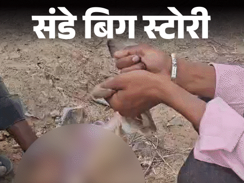 एक हजार रुपए के लिए खरगोश का शिकार:जयपुर के जंगलों में 7 दिन पड़ताल, कैमरे पर शिकारी बोले