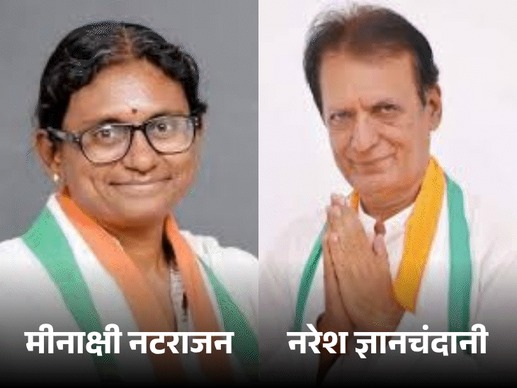 कांग्रेस में राज्यसभा उम्मीदवार मीनाक्षी नटराजन का विरोध:दिग्गी समर्थक ने राहुल-प्रियंका को लिखा
