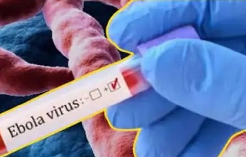 राजस्थान-इबोला वायरस संदिग्ध के साथ आए पैसेंजर्स भी क्वारंटाइन:19 साल की युवती में मिले संक्रमण जैसे लक्षण, जयपुर घूमने आई थी