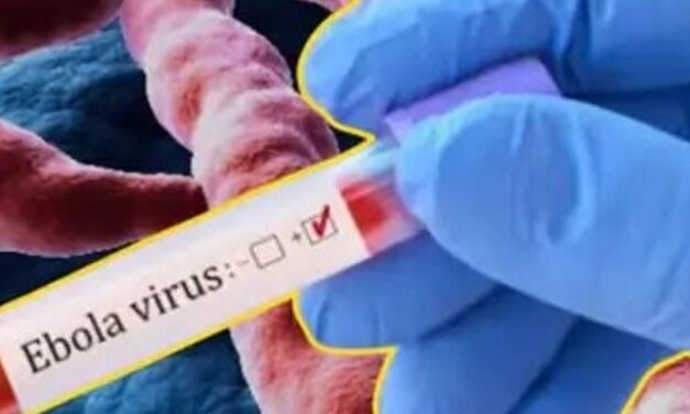 राजस्थान-इबोला वायरस संदिग्ध के साथ आए पैसेंजर्स भी क्वारंटाइन:19 साल की युवती में मिले संक्रमण जैसे लक्षण, जयपुर घूमने आई थी
