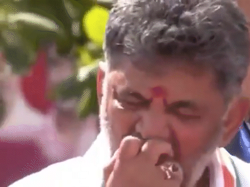कर्नाटक CM शिवकुमार ने सेब खाकर समर्थकों पर फेंके, Video:भाजपा बोली