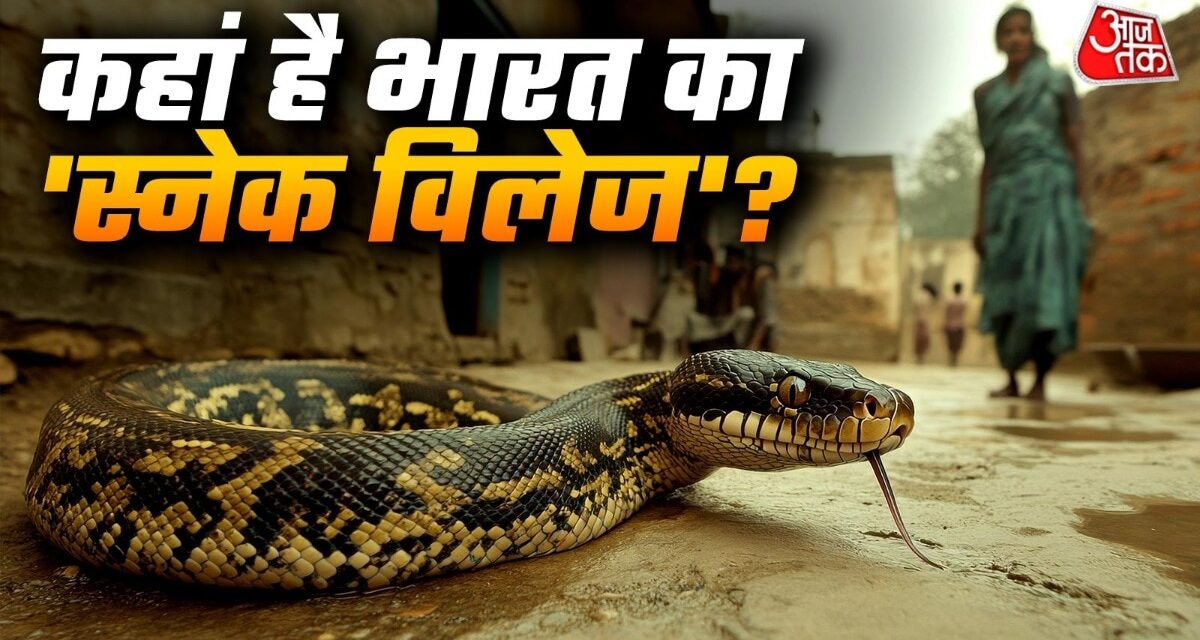 भारत का सबसे अनोखा गांव, जहां जहरीले सांपों के साथ रहते हैं लोग!