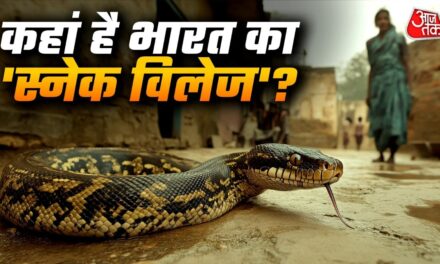 भारत का सबसे अनोखा गांव, जहां जहरीले सांपों के साथ रहते हैं लोग!