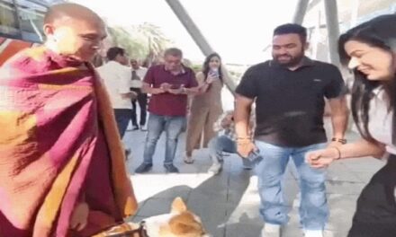 4 देशों की पदयात्रा कर चुका स्ट्रे डॉग गुरुग्राम पहुंचा:युवतियों ने सेल्फी और ऑटोग्राफ लिए, मेनका गांधी से मिला; इंस्टाग्राम पर 4.8 लाख फॉलोअर्स