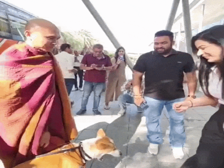 4 देशों की पदयात्रा कर चुका स्ट्रे डॉग गुरुग्राम पहुंचा:युवतियों ने सेल्फी और ऑटोग्राफ लिए, मेनका गांधी से मिला; इंस्टाग्राम पर 4.8 लाख फॉलोअर्स