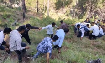 हिमाचल में खाई में गिरी बोलेरो गाड़ी, 7 की मौत:मृतकों में एक ही परिवार के 6 लोग शामिल; मुंडन संस्कार से लौटते वक्त हादसा