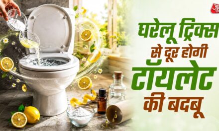 टॉयलेट की बदबू से परेशान? कटोरी में रखें ये सफेद चीज, महकेगा बाथरूम