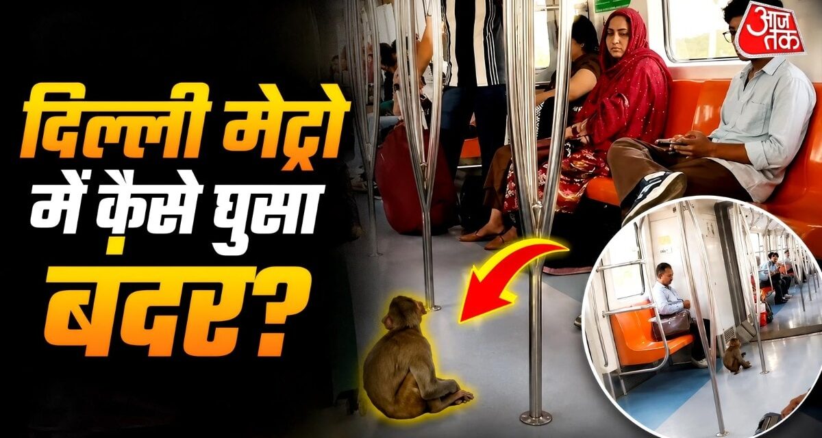 दिल्ली मेट्रो में बंदर की एंट्री, लोग बोले