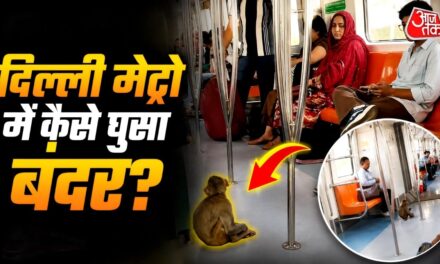 दिल्ली मेट्रो में बंदर की एंट्री, लोग बोले