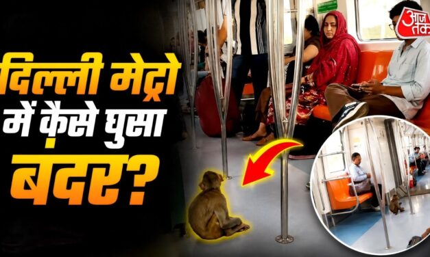 दिल्ली मेट्रो में बंदर की एंट्री, लोग बोले