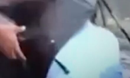 खुले नाले में ऐसे जा गिरा BMC का कर्मचारी, Video Viral