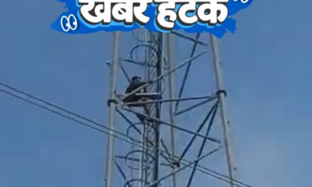 खबर हटके-तीसरी पत्नी को मनाने टावर पर चढ़ा युवक:गार्ड रील देखते रहे, जेल से भागा रेप का दोषी; बिल्ली अमर बनाने वैज्ञानिक का अपहरण