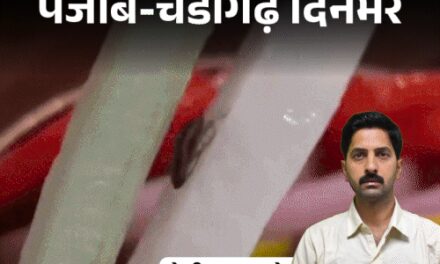 पंजाब-चंडीगढ़ दिनभर,10 बड़ी खबरें:हवेली के सलाद में जिंदा कॉकरोच; जत्थेदार गड़गज बोले