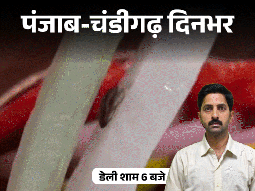पंजाब-चंडीगढ़ दिनभर,10 बड़ी खबरें:हवेली के सलाद में जिंदा कॉकरोच; जत्थेदार गड़गज बोले