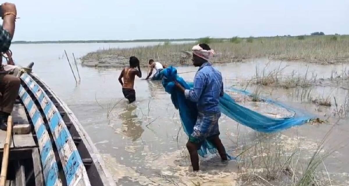 महाराष्ट्र: 15 अगस्त तक मछली पकड़ने पर रोक, मछुआरों को मिलेंगे 50 हजार रुपये!