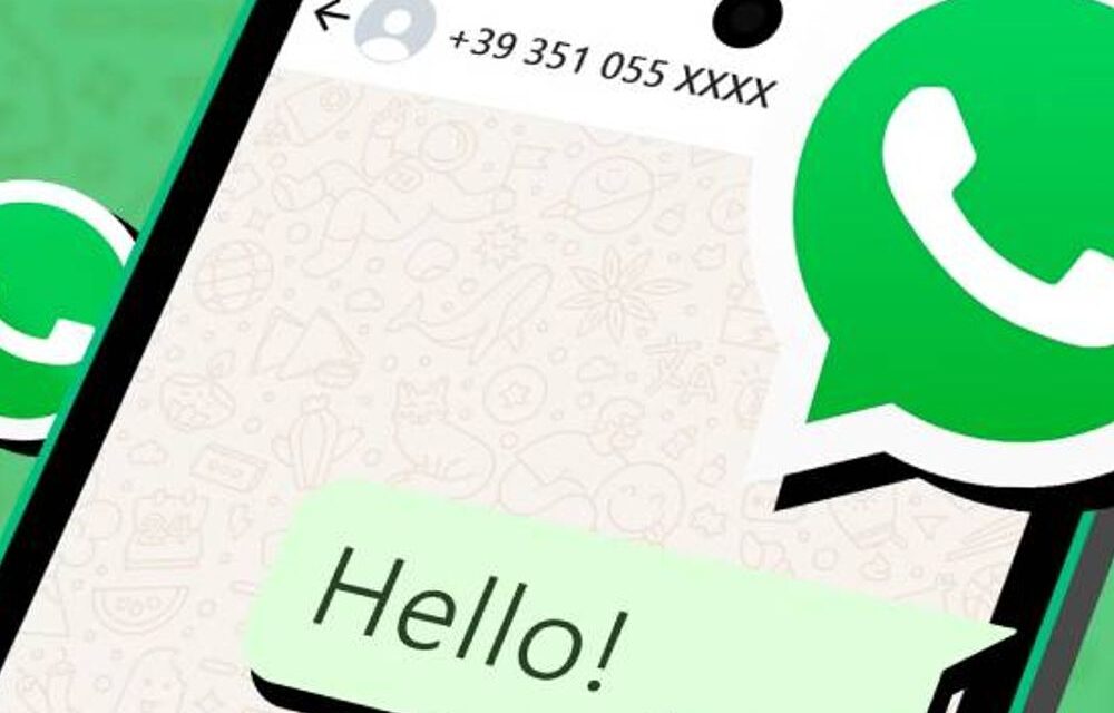 वॉट्सएप के यूजरनेम फीचर की जांच करेगी सरकार:कहा