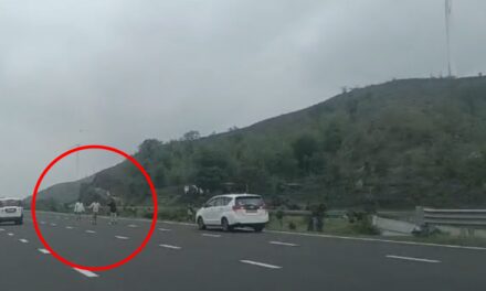 केंद्रीय मंत्री नितिन गडकरी की सुरक्षा में चूक:एमपी में एक्सप्रेस-वे पर गुजरते काफिले के सामने आए 3 युवक; 120 की रफ्तार में थीं गाड़ियां