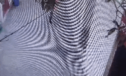 पंजाब