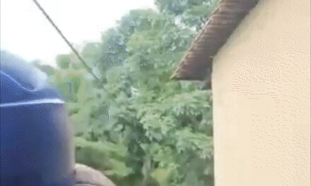 कर्नाटक में जिपलाइन राइड के दौरान सेफ्टी लॉक खुला, VIDEO:पर्यटक 40 फीट नीचे गिरा, हाथ-पैरों में कई फ्रैक्चर; परिवार ने रिजॉर्ट प्रबंधन पर लगाए आरोप