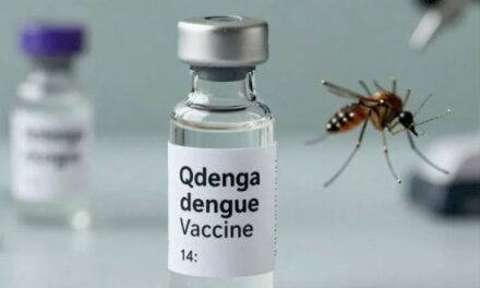 भारत में पहली डेंगू वैक्सीन QDENGA को मंजूरी:बिना किसी जांच के 4 से 60 साल तक के लोग ले सकेंगे डोज, देश में ही बनेगी