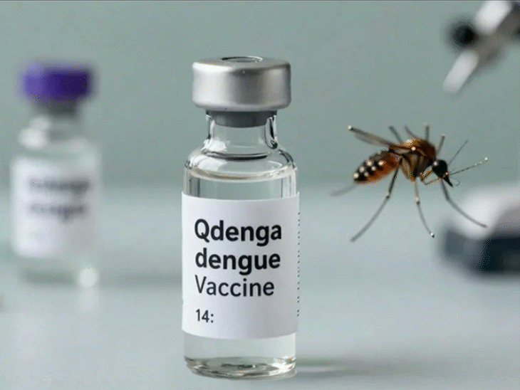 भारत में पहली डेंगू वैक्सीन QDENGA को मंजूरी:बिना किसी जांच के 4 से 60 साल तक के लोग ले सकेंगे डोज, देश में ही बनेगी