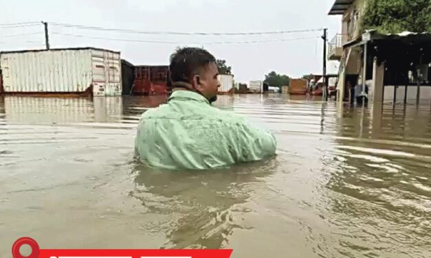 गुजरात, महाराष्ट्र-ओडिशा में बारिश का रेड अलर्ट:असम में बाढ़ से 7 लाख लोग प्रभावित, 66 मौतें; हिमाचल में लैंडस्लाइड से 134 सड़कें बंद