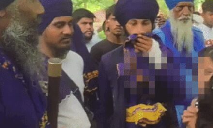 लुधियाना के पार्क में मां-बेटी को डांस करने से रोका,VIDEO:निहंगों ने स्लीवलेस ड्रेस पर आपत्ति जताई, बोले
