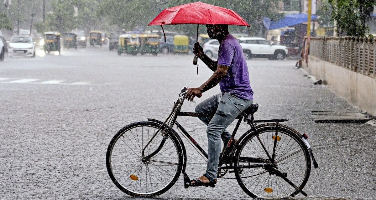 1 अगस्त का मौसम: इन जिलों में भारी बारिश और तेज आंधी, IMD का अलर्ट देखें