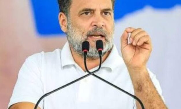 आज तमिलनाडु के दौरे पर रहेंगे राहुल गांधी:महाबलीपुरम में 74 जिला अध्यक्षों के साथ पार्टी संगठन की बैठक करेंगे