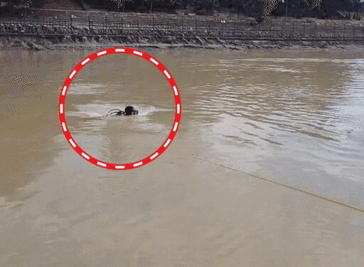 भोलेनाथ की कसम देकर गया बेटा, अब घर लौटेगा शव:मां को अफसोस, बहन कर रही इंतजार; हरिद्वार में चंडीगढ़ के 4 कांवड़ियों की मौत