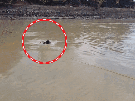 भोलेनाथ की कसम देकर गया बेटा, अब घर लौटेगा शव:मां को अफसोस, बहन कर रही इंतजार; हरिद्वार में चंडीगढ़ के 4 कांवड़ियों की मौत