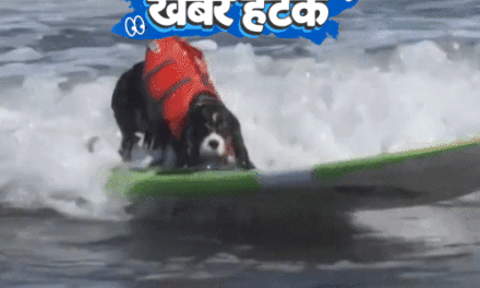 खबर हटके