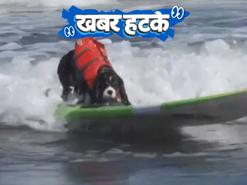 खबर हटके