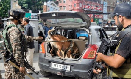 कश्मीर में टारगेट किलिंग रोकने के समाधान का आइडिया:बाहरी मजदूरों के लिए क्लस्टर बनेंगे, आते ही थाने में जाकर बताना होगा