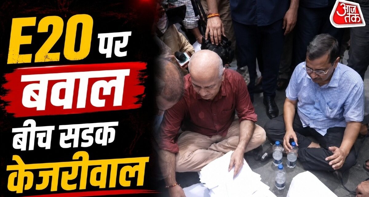 ''E20 से करोड़ों लोग परेशान… अब PM के जवाब का इंतजार', पिटीशन सौंप बोले केजरीवाल