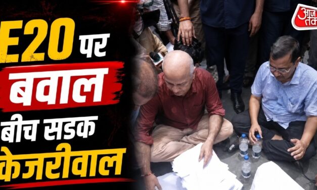 ''E20 से करोड़ों लोग परेशान… अब PM के जवाब का इंतजार', पिटीशन सौंप बोले केजरीवाल