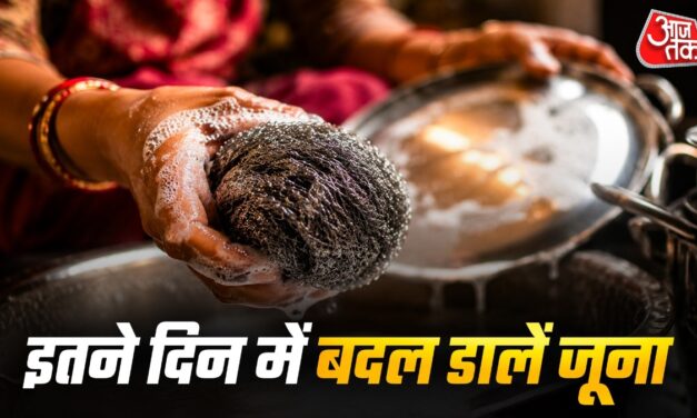 टॉयलेट सीट से ज्यादा गंदा होता है किचन का जूना! इतने दिन में बदल दें
