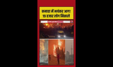 कनाडा के जंगलों में लगी भीषण आग, हजारों एकड़ जलकर खाक