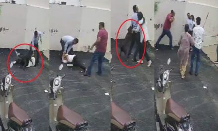 पटियाला में पिटबुल के हमले में महिला गंभीर जख्मी, वीडियो वायरल