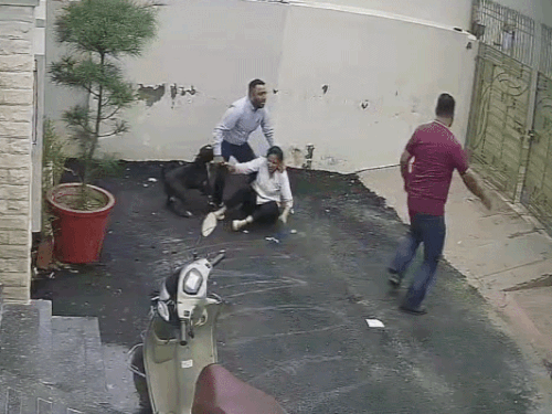 पटियाला में पिटबुल डॉग के अटैक का VIDEO:मकान देखने आए कपल पर झपटा; महिला की बाजू, जांघ, कूल्हा चबाया; पति की पीठ नोची