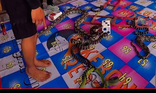 Snake & Ladder का खतरनाक अंदाज़, असली सांप भी मौजूद