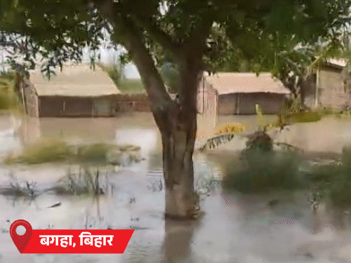 MP-यूपी की 7 नदियां खतरे के निशान से ऊपर:हिमाचल में अब तक 219 मौतें, राजस्थान के श्रीगंगानगर में तापमान 40° पार