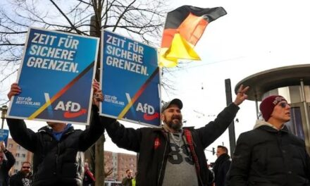 जर्मनी में जीत की ओर बढ़ी रही दक्षिणपंथी पार्टी AFD, क्या बना पाएगी सरकार?