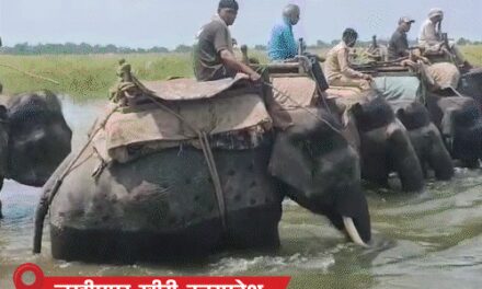 उत्तराखंड में 170 फीट लंबा ब्रिज बहा:छत्तीसगढ़ में 3 कॉलेज स्टूडेंट्स नदी में लापता; बिहार में 47 लाख लोग बाढ़ प्रभावित, MP-राजस्थान में बारिश